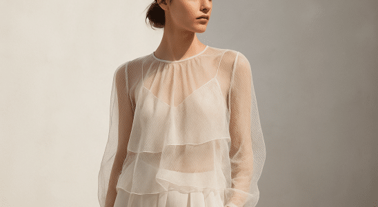 sheer blouses and mesh overlays how the see throug 1787273687088
