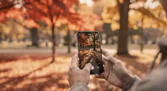 Smartphone taking a vibrant photo of colorful fall foliage in a sunlit park